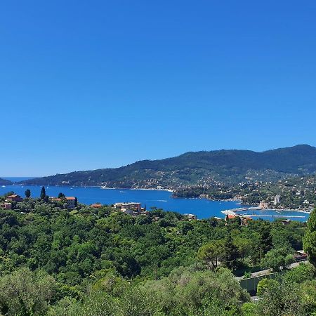Villa Joana Zoagli Εξωτερικό φωτογραφία