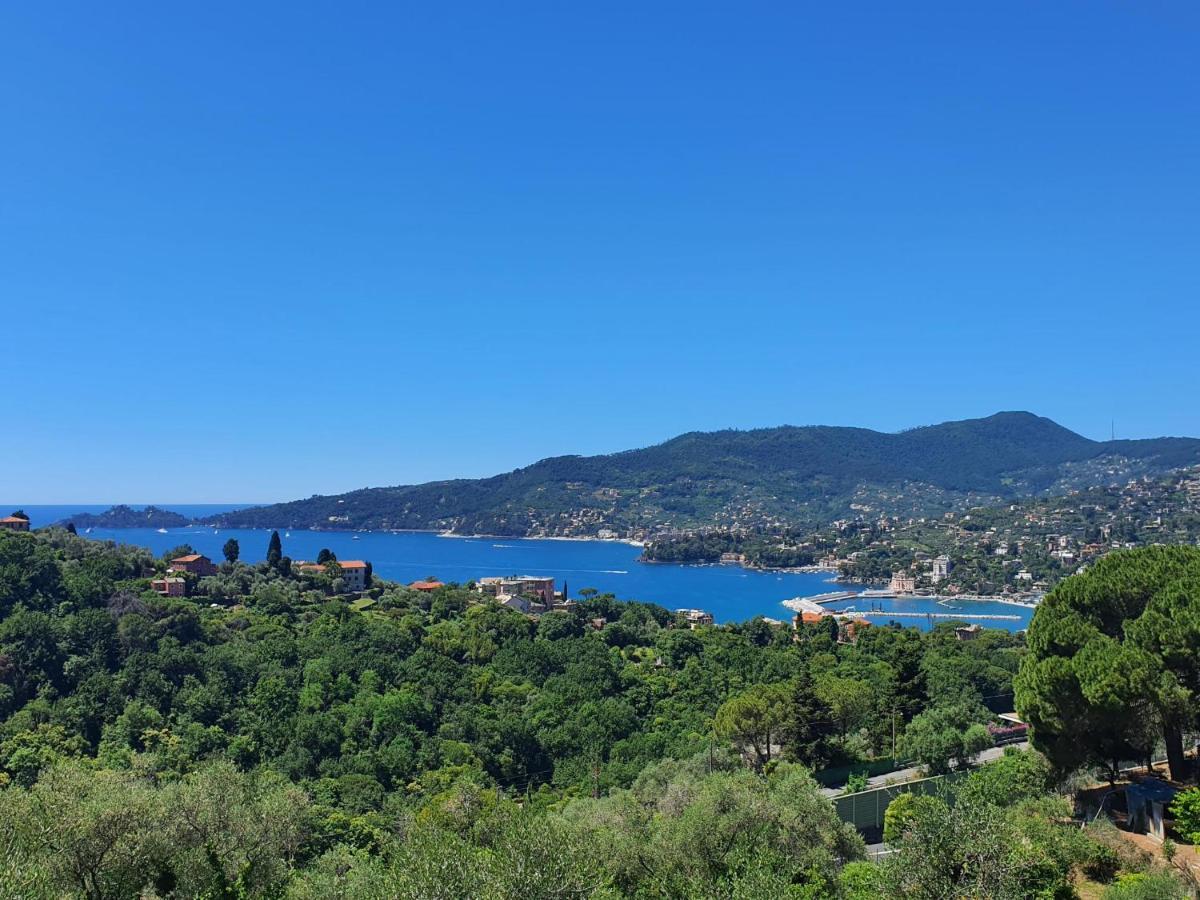 Villa Joana Zoagli Εξωτερικό φωτογραφία